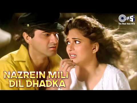 Nazrein Mili Dil Dhadka - Raja | Love You Raja | Alka Yagnik & Udit Narayan | Madhuri Dixit & Sanjay