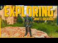 The Dark Truth About White Orchard