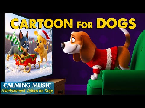 Cartoon For Dogs Relaxing Dog TV To Keep Your Dogs Happy While You Re Away Dog Cartoon With Music
