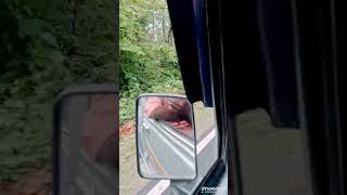 coversong  hindisong cdanursari cake paisayenyasathiupay saruphussaine9v