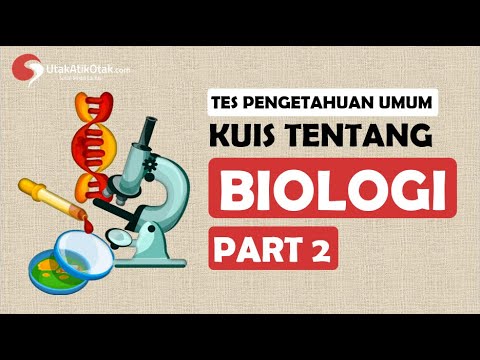 Video: Apa itu fotosintesis dalam kuis biologi?