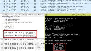 Протокол DNS в Wireshark | Практика по курсу 