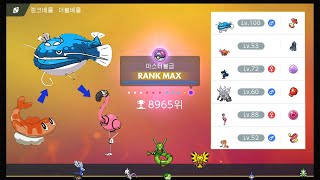 [Pokémon violet] 더블배틀 마스터까지 간 어써러셔 + 싸리용과 꼬이밍고 조합