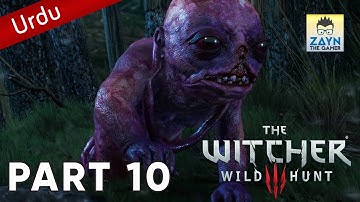 The Witcher 3 Wild Hunt - Walkthrough - Part 10 - Botchling (hindi-urdu)