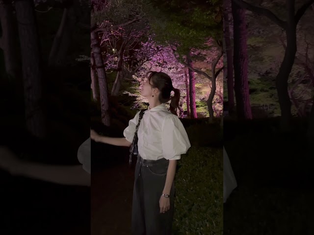 【VLOG】夜桜見てきたよMini VLOG🌸