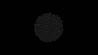 Differential growth (2D) - square (inverted)