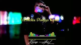 story wa! ora bakal ilang tresnoku dinggo kowe