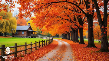 Soothing Autumn Melodies 🍁 Deep Relaxation for Stress and Anxiety Relief