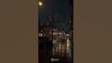 آيات بينات من الذكر الحكيم ♥️