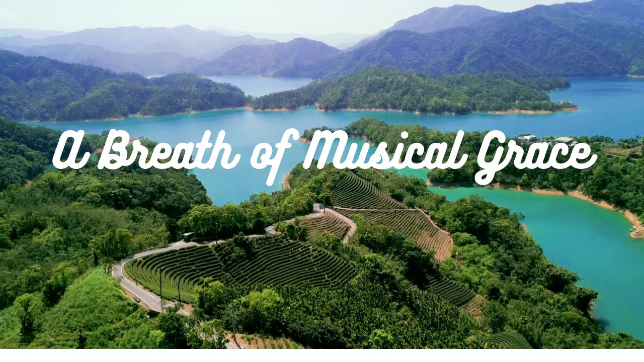 The Quiet Embrace: Instrumental Music for Sleep and Stress Relief