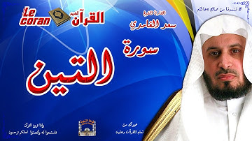 Saad AL Ghamidi - At tin (HD-95) سعد الغامدي - سورة  التّيــن