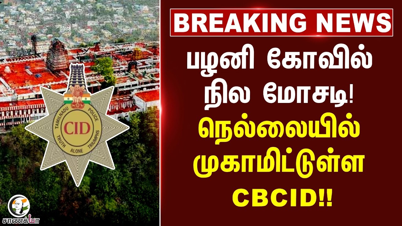 ⁣#breakingnews :  Palani கோவில் நில மோசடி! நெல்லையில் முகாமிட்டுள்ள CBCID!! | TVK Government | HRCE