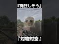 対空兵器としても運用可能！？対戦車ライフル【BFV】＃shorts　#battlefieldv #battlefield5 #battlefield