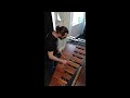 Xylophone solo excerpts - Uneven Souls - Zivkovic