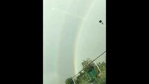 đơn hàng cắt tỉa cây ở nhật bản,ăn được tiền bên nhật ứa máu ra chứ đùa à