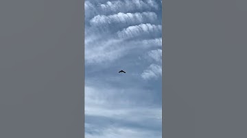 eBee Plus RTK Launch