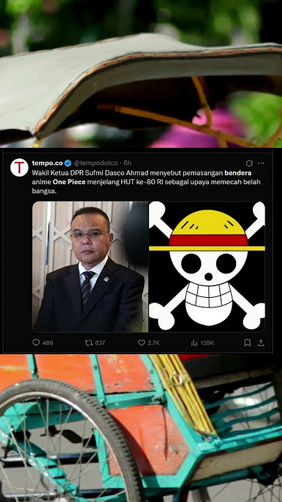 Mengibarkan Bendera One Piece membuat Pemerintah Ketar Ketir