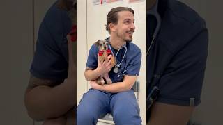 Quanto È Bella Da 1 A 10? 100.000..