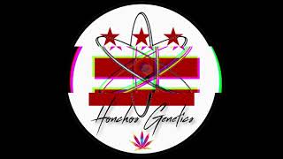 Honchos Grow: How to grow cannabis easy