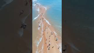 Download #yournaturegram #shorts Video MP3 #yournaturegram #shorts