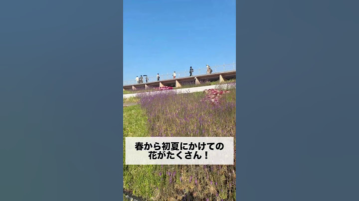 【万博】大屋根リング上の花が見頃　#shorts　#大屋根リング　#花