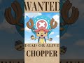 【全員ニカ】麦わらの一味のギア5/【Nika】Straw Hat Pirates Gear 5 #ONEPIECE #NIKA #gear5