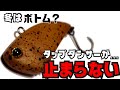 エリアトラウト】タップダンサーが止まらない！50cmオーバーまで