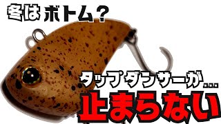 エリアトラウト】タップダンサーが止まらない！50cmオーバーまで
