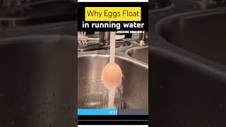 Why Eggs Float in Running Water #science #sciencefacts #eggs