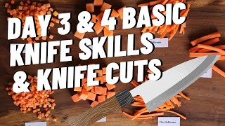 Day 3 & 4 Culinary School Chronicals - Basic Knife Skills and Knife Cuts