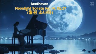 Ludwig van Beethoven - Moonlight Sonata -  Piano Sonata No. 14, Op.27 No.2 월광 소나타 14번