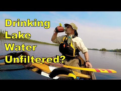 Video: Ar ežeras yra gėlo vandens?