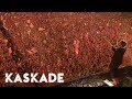 Kaskade | EDC Weekend 2 | 2016