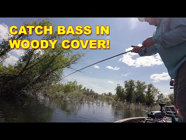 Catch Bass In Heavy Cover