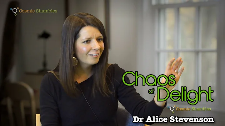 Alice Stevenson - Chaos of Delight