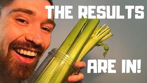 I drank CELERY JUICE for 30 DAYS and this is what happened...