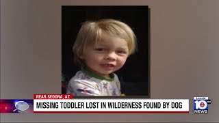 Famous Dog locates toddler missing in wilderness in Arizona Profile