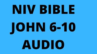 JOHN 6-10 HOLY BIBLE NIV AUDIO