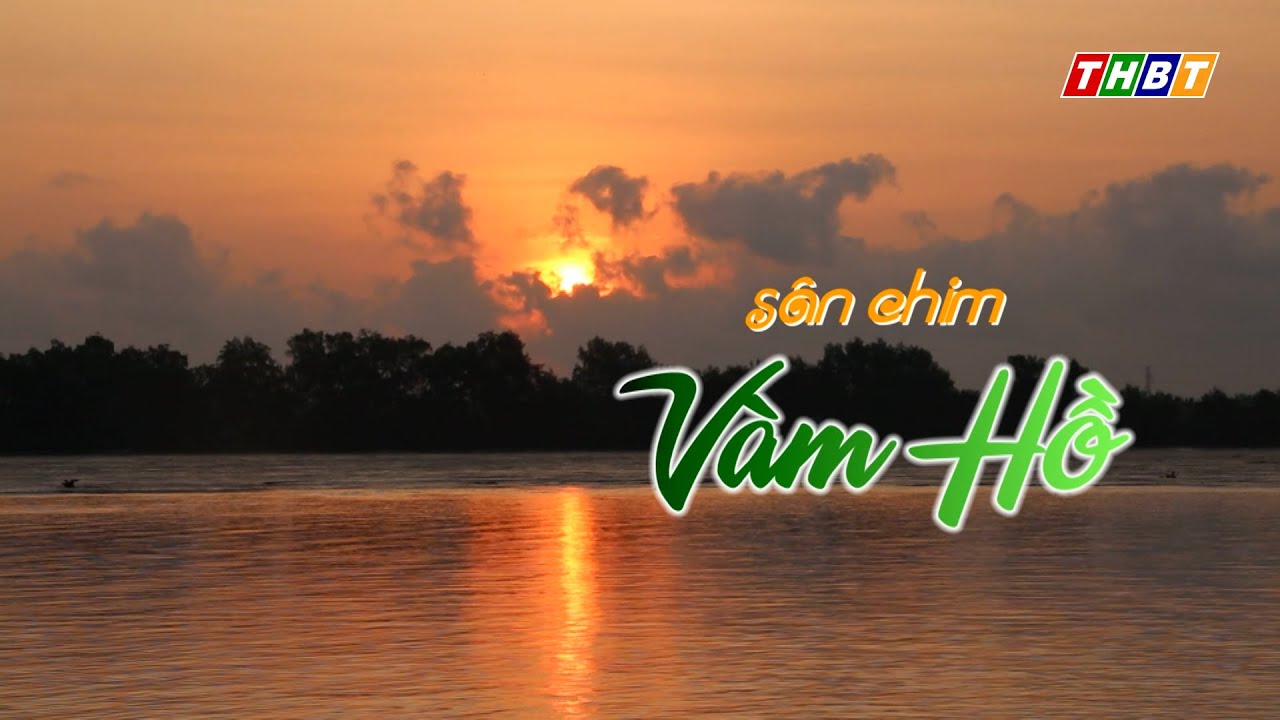 Sân chim Vàm Hồ | Ký sự Đất và người Bến Tre