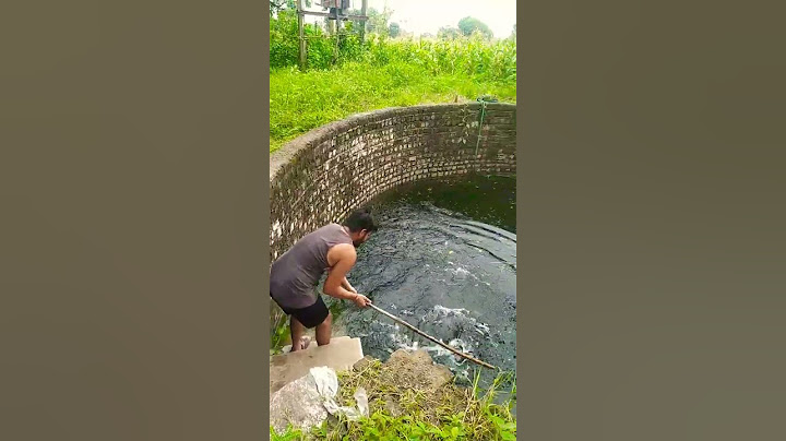 कुआं में बहुत बड़ी मछली आ गई
