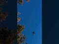 Aviación