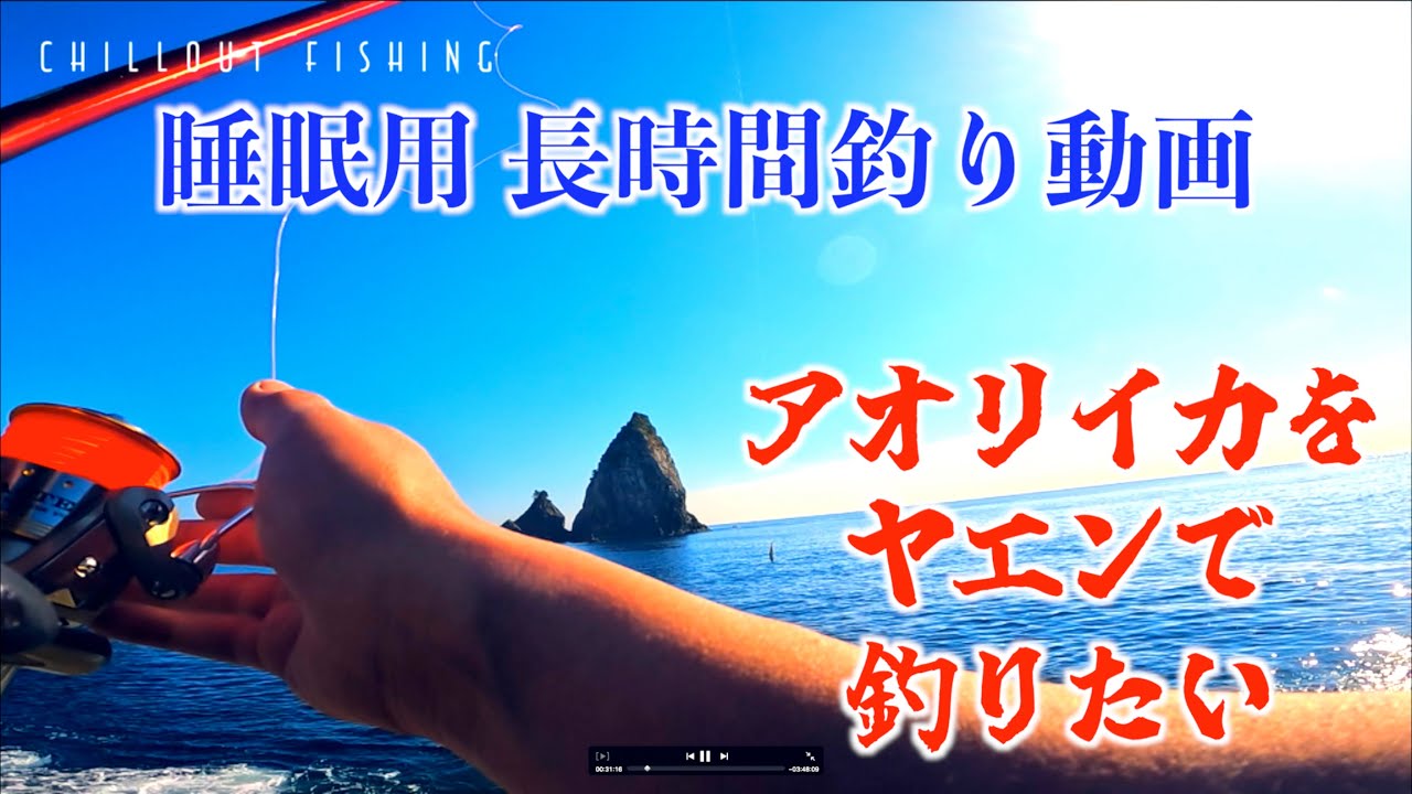 睡眠用】徳島県 日和佐 2025年1月 アオリイカ ヤエン釣り エギング 