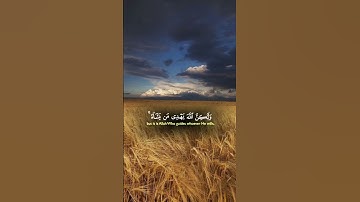 القران الكريم /اللهم صلِّ على محمد وآل محمد
