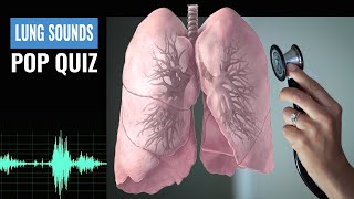 Name that Lung Sound? Lung Sound Quiz | NCLEX REVIEW