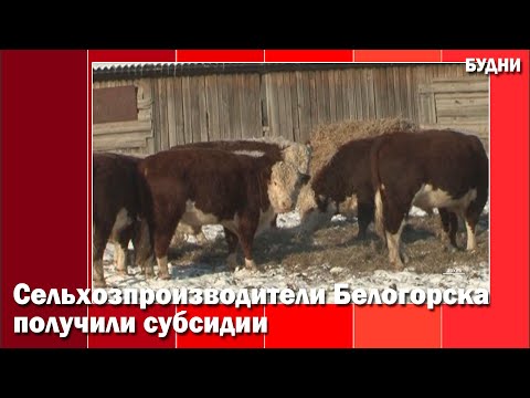 Сельхозпроизводителям необходимо зарегистрироваться в похозяйственной книге