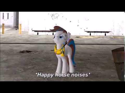 happy-horse-noises~!