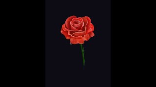[Procreate] Drawing rose Time-Lapse by Omin (2021) screenshot 1
