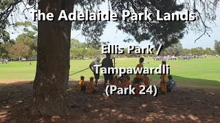 Guided Walk through Ellis Park / Tampawardli (Park 24)