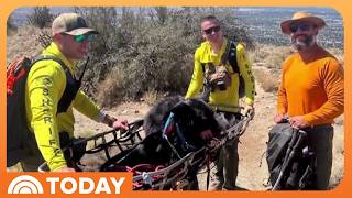 Dog Gets Special Rescue After Becoming Too Tired to Finish Hike