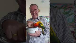 Angry bird bites the finger of the man that feeds him.